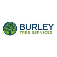 Burley Tree Services image 1